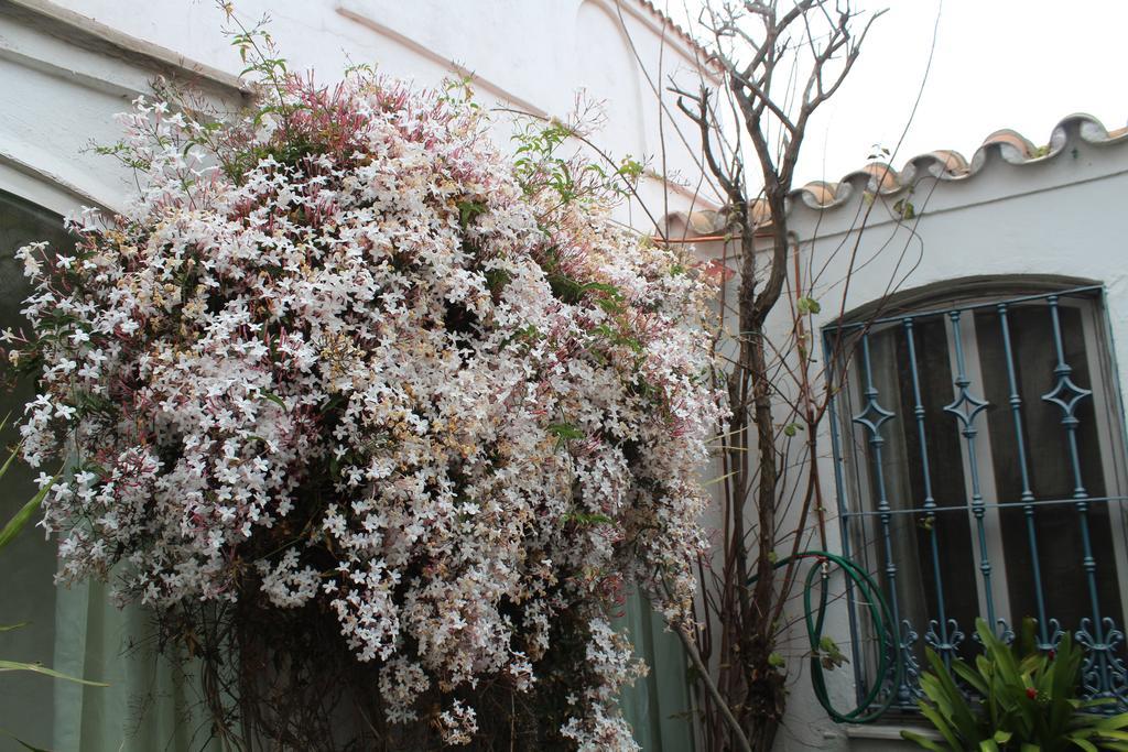 Villa Casa Colonia La Línea de la Concepción Esterno foto